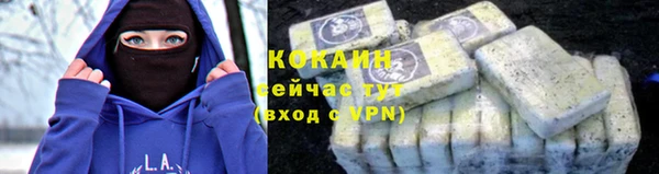 гашик Мегион