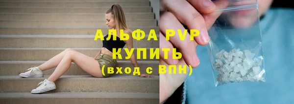СК Михайлов
