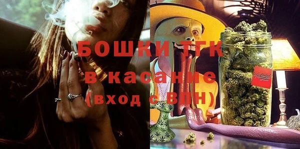 СК Михайлов