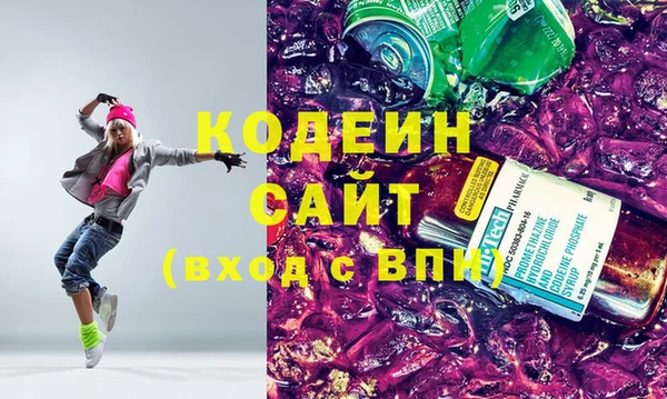 гашик Мегион