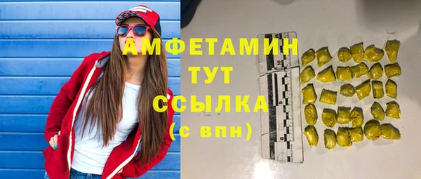 гашик Мегион