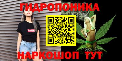 крисы Берёзовский