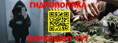 соль ск Будённовск