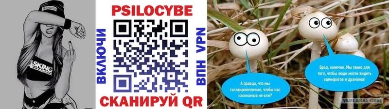 продажа наркотиков  Саранск  Галлюциногенные грибы Cubensis 