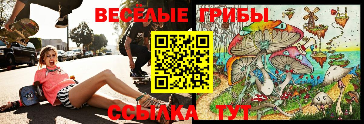 Каннабис  Саранск  МДМА  LSD-25  Меф МЯУ МЯУ   Как найти наркотики?  Cocaine  Гашиш  ГЕРОИН 