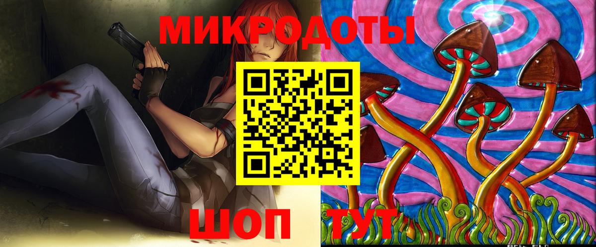 Псилоцибиновые грибы Cubensis Саранск