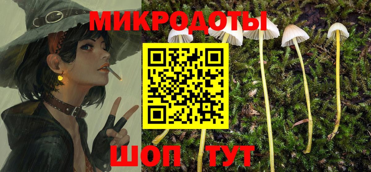 Галлюциногенные грибы Cubensis Саранск