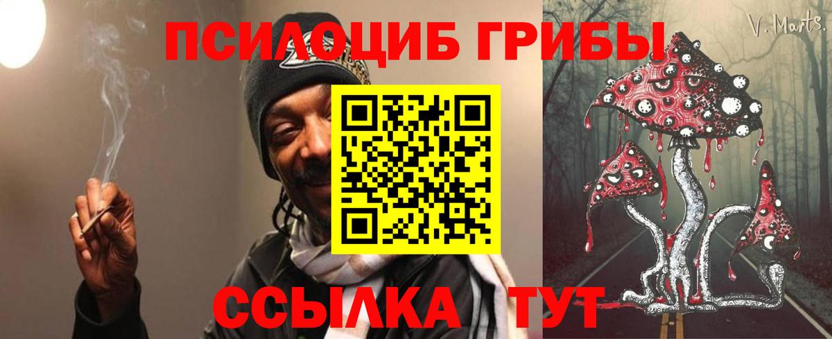 Галлюциногенные грибы Cubensis Саранск