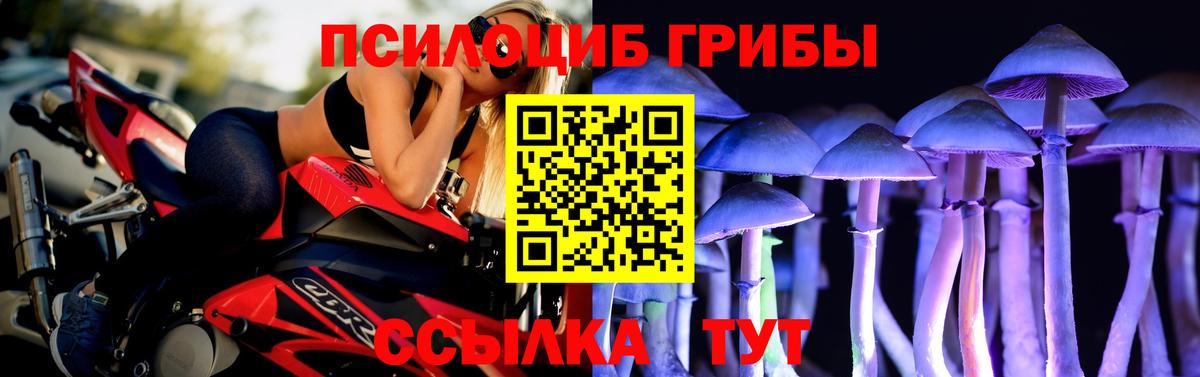 Саранск  Галлюциногенные грибы прущие грибы  Вход с VPN  Галлюциногенные грибы Cubensis 